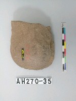 藏品(磨製石斧)的圖片